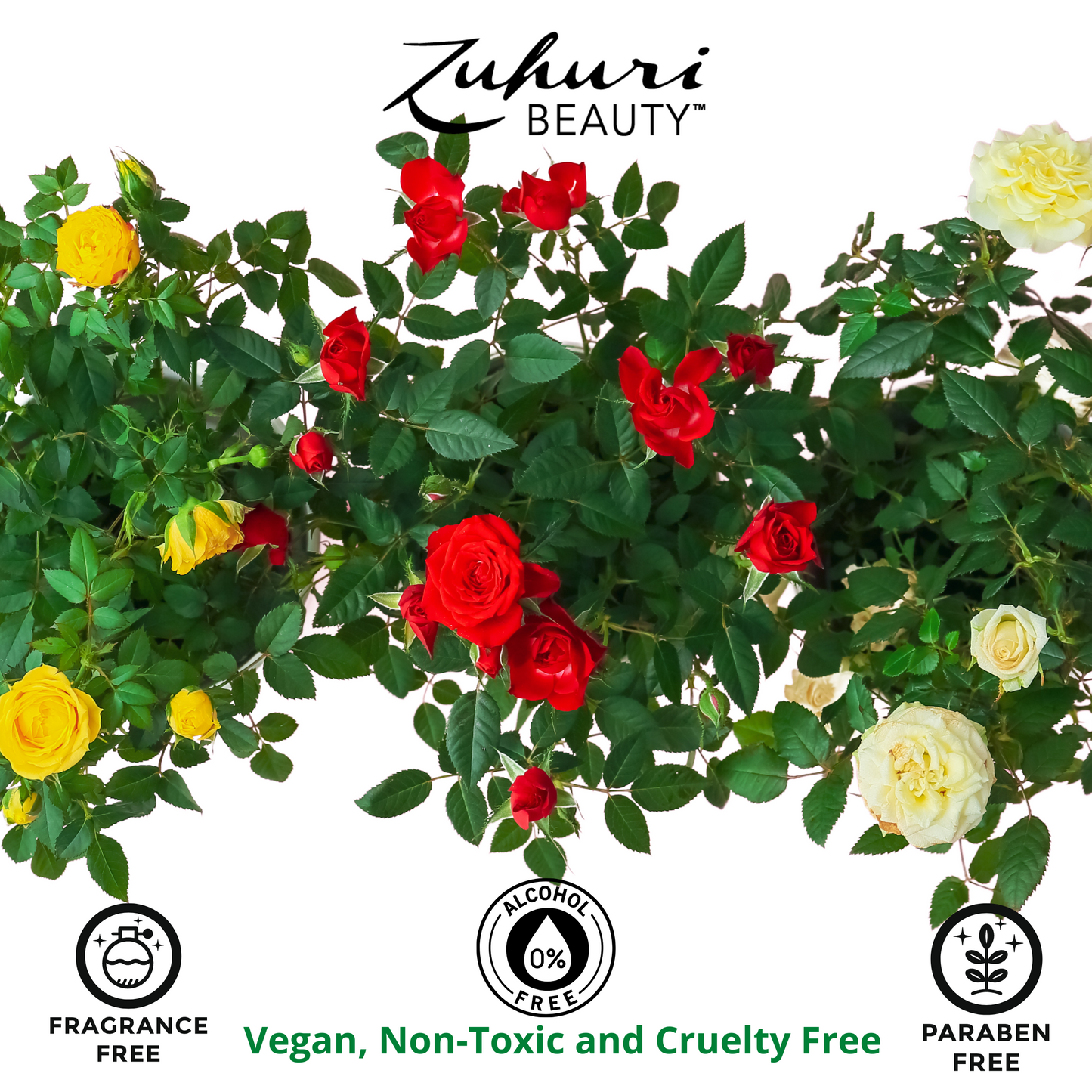 
                  
                    Organic Rosewater Treatment Toner with Reusable Cotton Round
                  
                